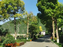 -白帝城·瞿塘峡景区