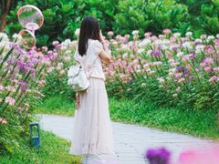 -云溪植物园