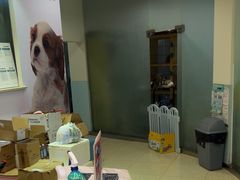 -瑞派申生动物医院·24H夜诊·国际动物医疗中心·骨外科(吴中路店)