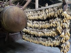 -西双版纳基诺山寨