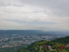 -缙云山景区
