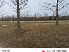 -黄海国家森林公园