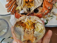 -蟹天蟹地农家菜·阳澄湖大闸蟹(浅水湾店)