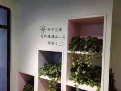 -初心HAlRSALON烫染接发