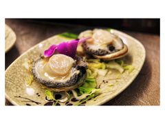 南非鲍鱼-金海阁海鲜火锅