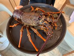 -新吉士·上海菜(浦东LCM置汇旭辉店)