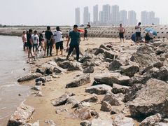 -东疆建设开发纪念公园