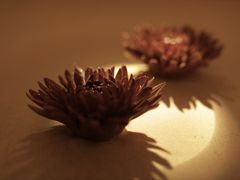 -Dragonfly悠庭·按摩Spa(静安嘉里中心店)