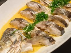 -鸽子侯·家宴·平价海鲜(绿地店)