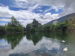 -蝴蝶泉公园