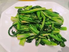 姜汁炒菜心-新兴家喻酒家·羊城名宴(昌岗店)