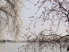 -颐和园