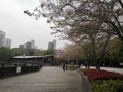 -玉山公园
