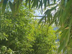 -燕郊植物园