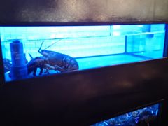 -Burger & Lobster(Dean Street)