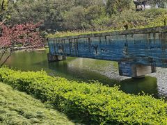 -重庆彩云湖湿地公园