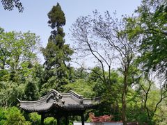 -镇江市南山风景名胜区竹林景区