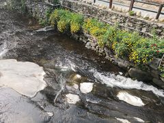 -北京水岸山吧度假村(雁栖镇店)