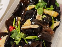 秋耳拌笋尖-新兴园饺子馆(北京百子湾店)