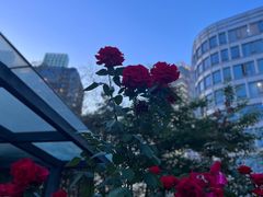 -公平路渡口(轮渡站)