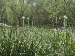 -滨河世纪广场公园