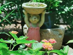 -谷咖啡·鲜花绿植花园餐厅