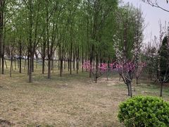 -兴安湖生态运动公园