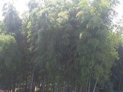 -会稽山峡洞漂流-上青古道