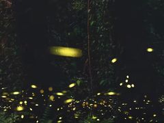 -华南国家植物园-售票处
