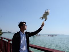 -海埂大坝