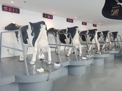 -蒙牛工业旅游景区