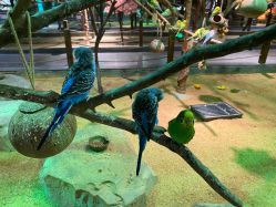 -酷嗒动物文化乐园(cutezoo西溪乐天城店)