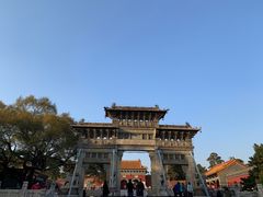 -北陵公园