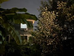 -植觉