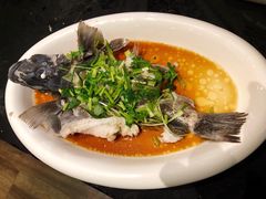 清蒸游水笋壳鱼-禅e私房菜 Zen E Private Kitchen Chinese Restaurant