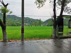 -晶牌烤鸭(延吉东路557弄小区店)
