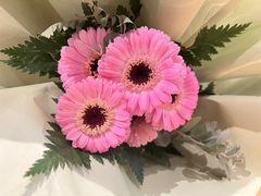 -KPRO 帕尼尼·沙拉·缤纷拼盘(万象城店)