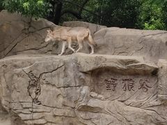 -常州淹城野生动物世界