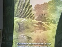 -房山世界地质公园博物馆