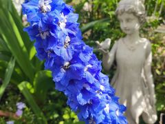 -三仟津花园咖啡馆