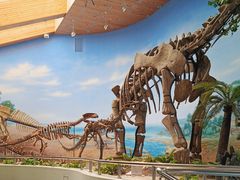 -延庆地质公园博物馆