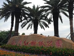 -宝安西湾红树林湿地公园