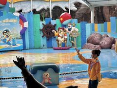 -海合安成都极地海洋公园