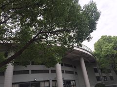 -复旦大学邯郸校区南区游泳馆