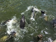 -华夏文旅海洋公园