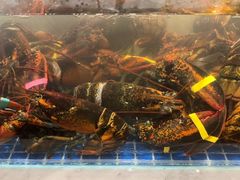 -雍和会海鲜姿造自助(湖东路店)
