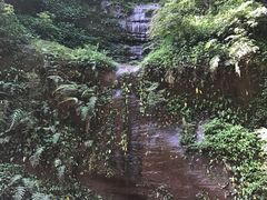 -赤水丹霞旅游区·佛光岩