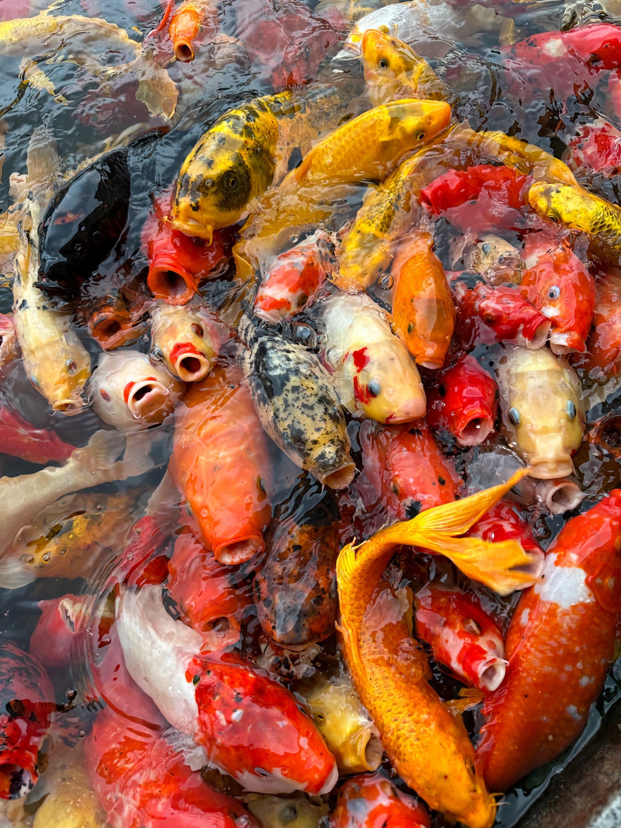 大数据推给发发财的人