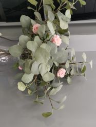 -Wisezone唯点穿耳打耳洞专业国际连锁品牌