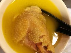 -鲜入围煮花胶鸡海鲜火锅